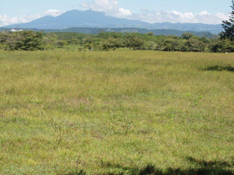 CAÑAS TILAPIA FARM Costa Rica Properties